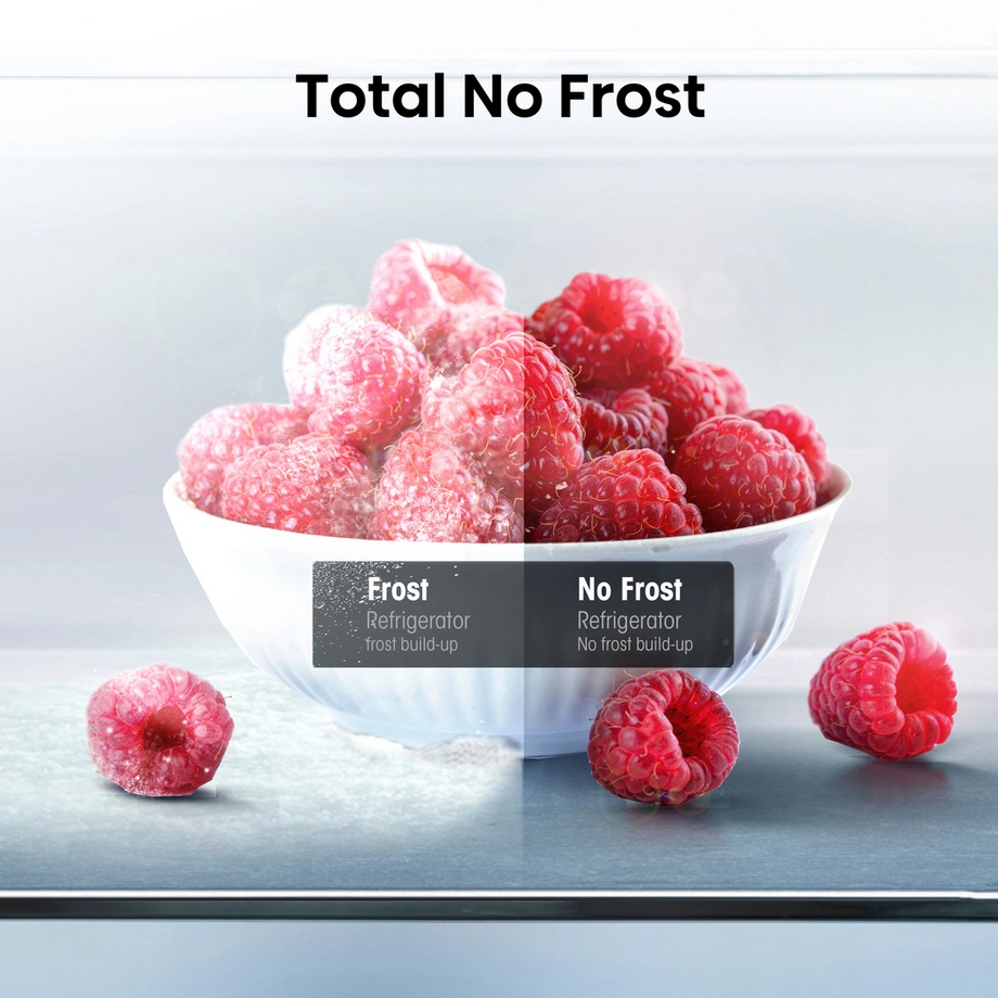 HISENSE RB395N4BCE Frost-free fridge freezer - Image 7